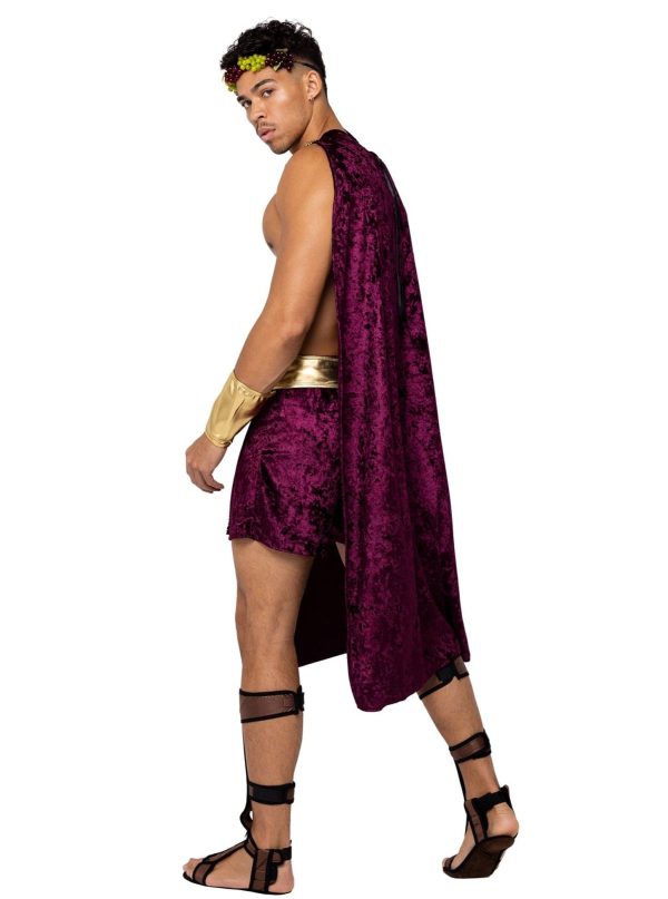 4 Pc Men s God of Wine Halloween Cosplay Costume Supply - Image 2