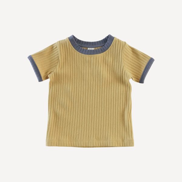 ringer short set | golden honey | organic cotton wide rib Online Sale - Image 3